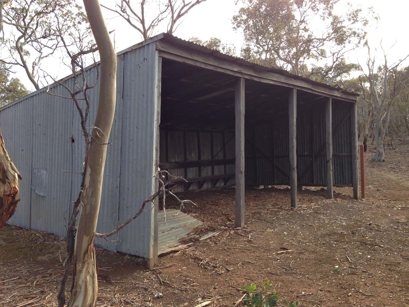 Werribee gorge circuit via shelter shed hike (67)