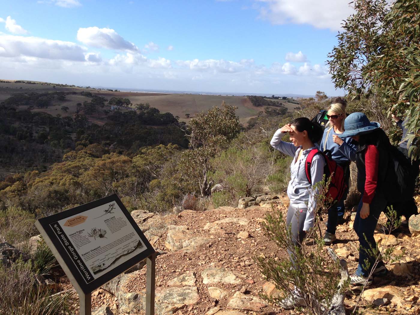 Werribee gorge circuit via shelter shed hike (7)
