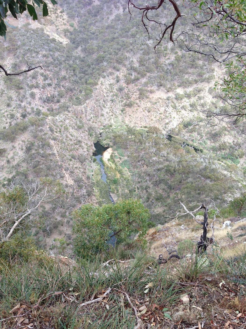 Werribee gorge circuit via shelter shed hike (70)