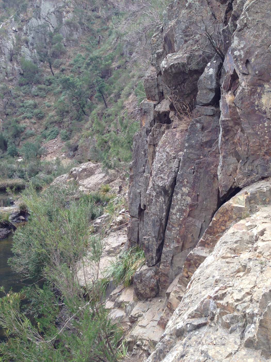 Werribee gorge circuit via shelter shed hike (74)