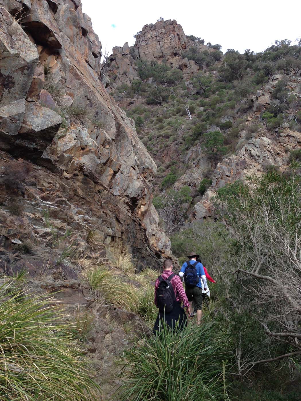 Werribee gorge circuit via shelter shed hike (75)