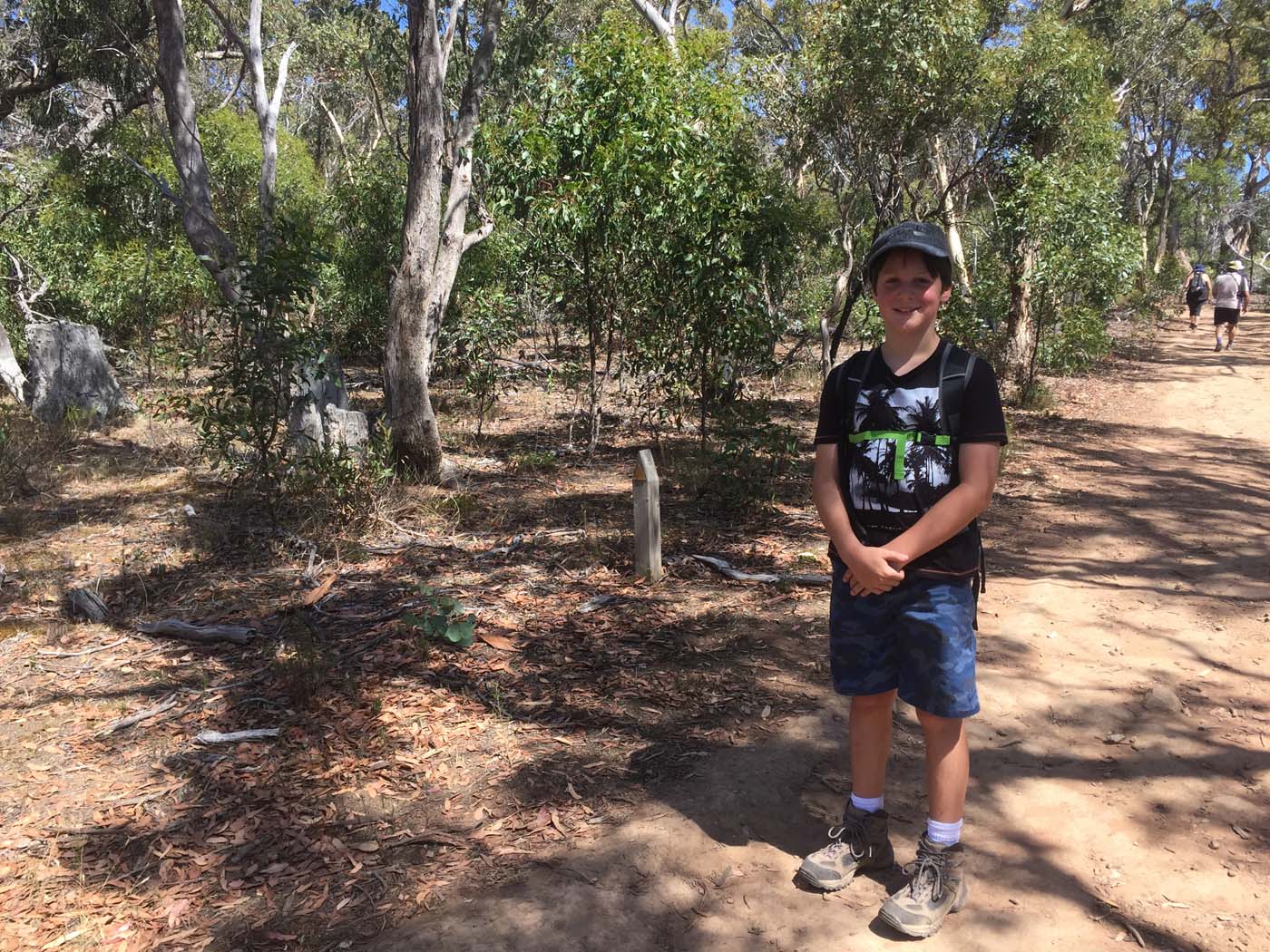 Werribee gorge circuit via shelter shed hike (82)