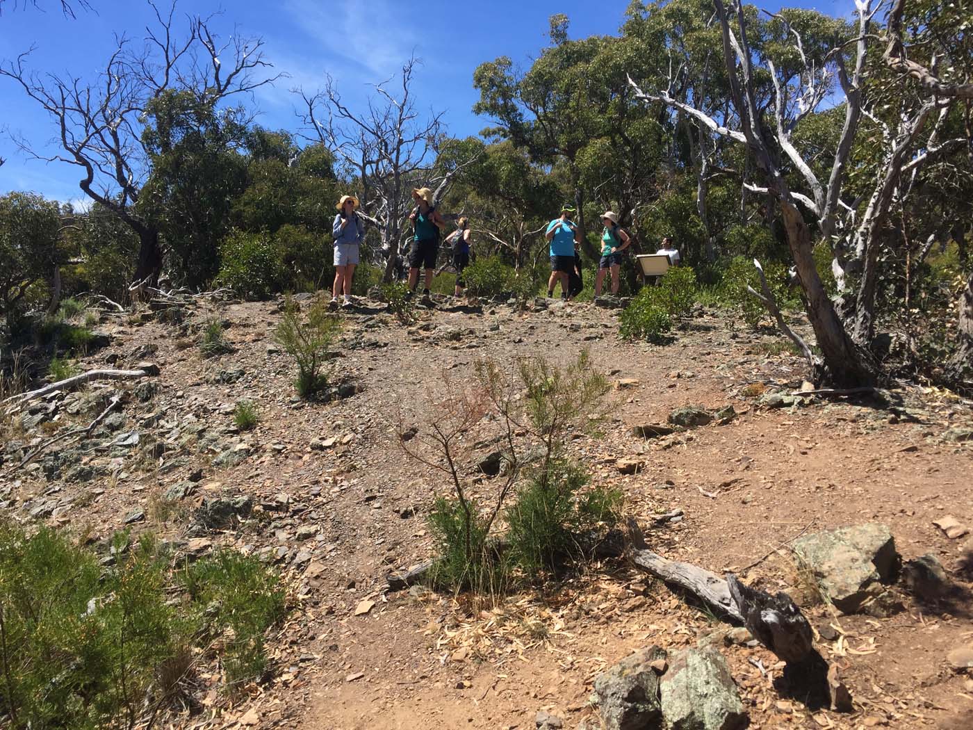 Werribee gorge circuit via shelter shed hike (86)