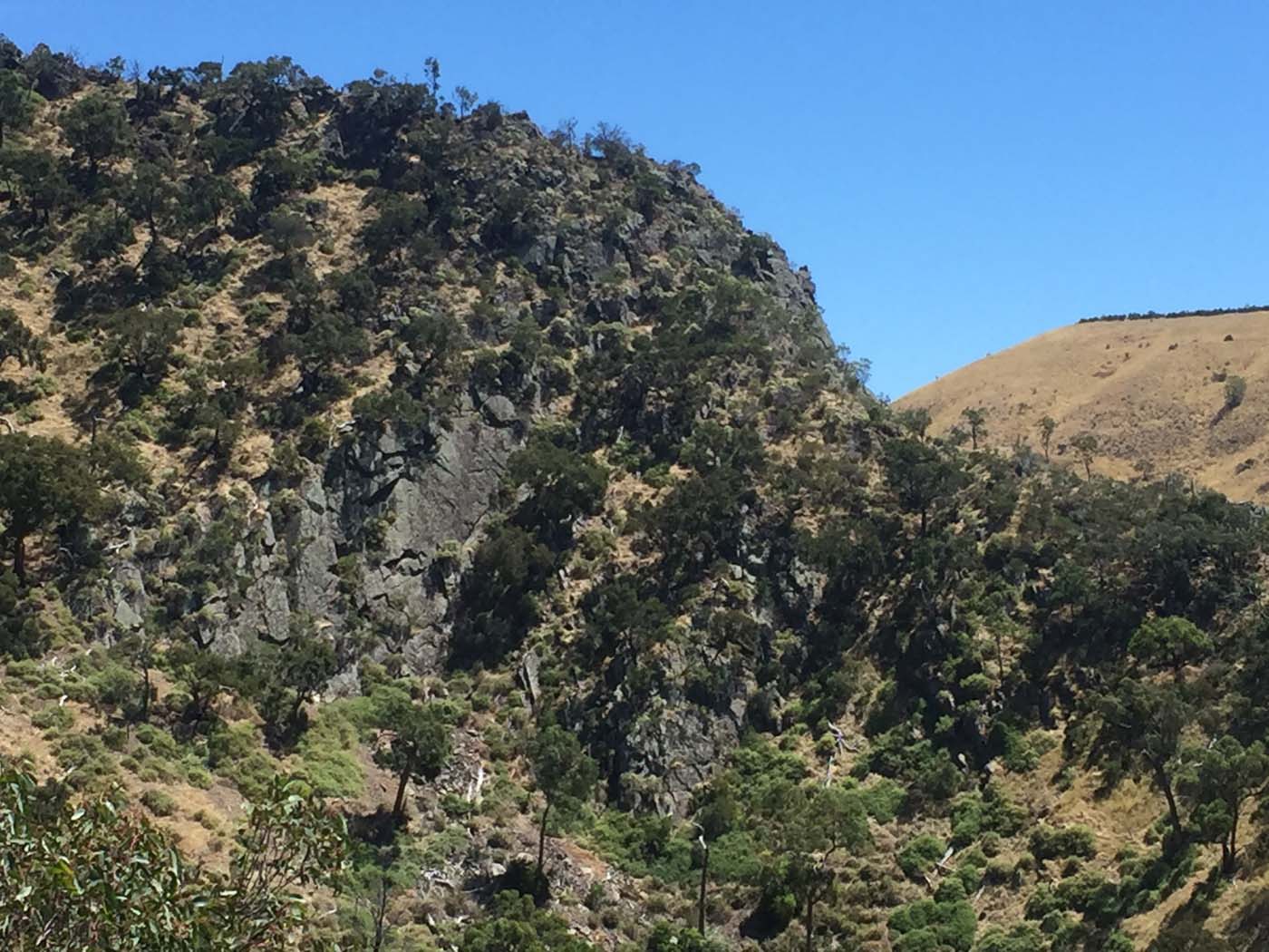 Werribee gorge circuit via shelter shed hike (87)