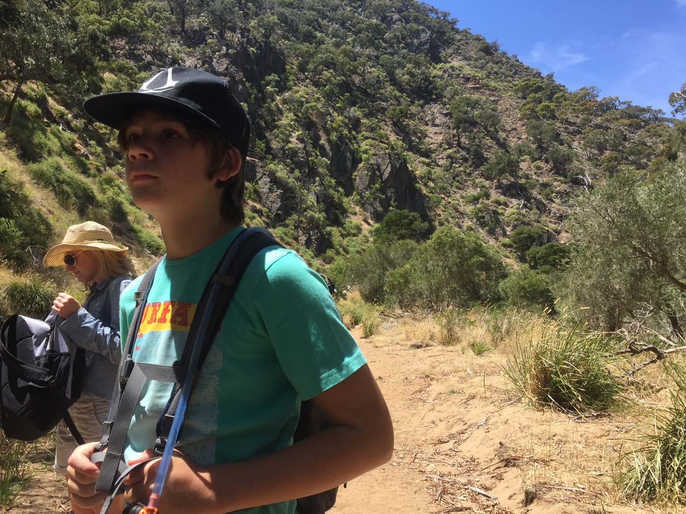 Werribee gorge circuit via shelter shed hike (94)