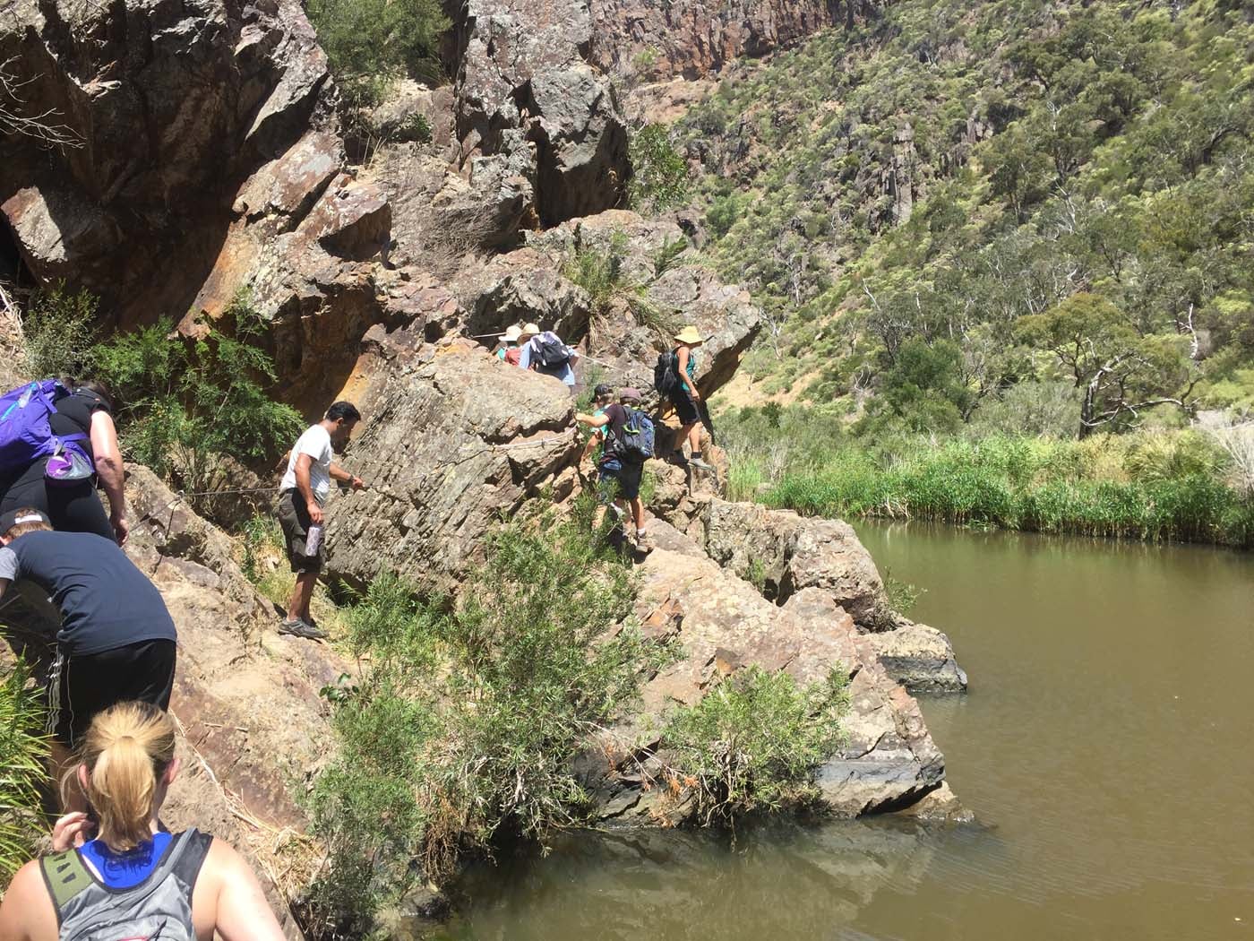 Werribee gorge circuit via shelter shed hike (96)