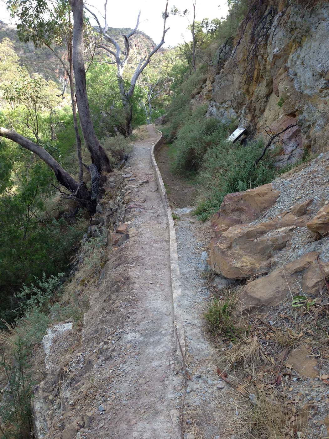 Werribee gorge circuit (15)