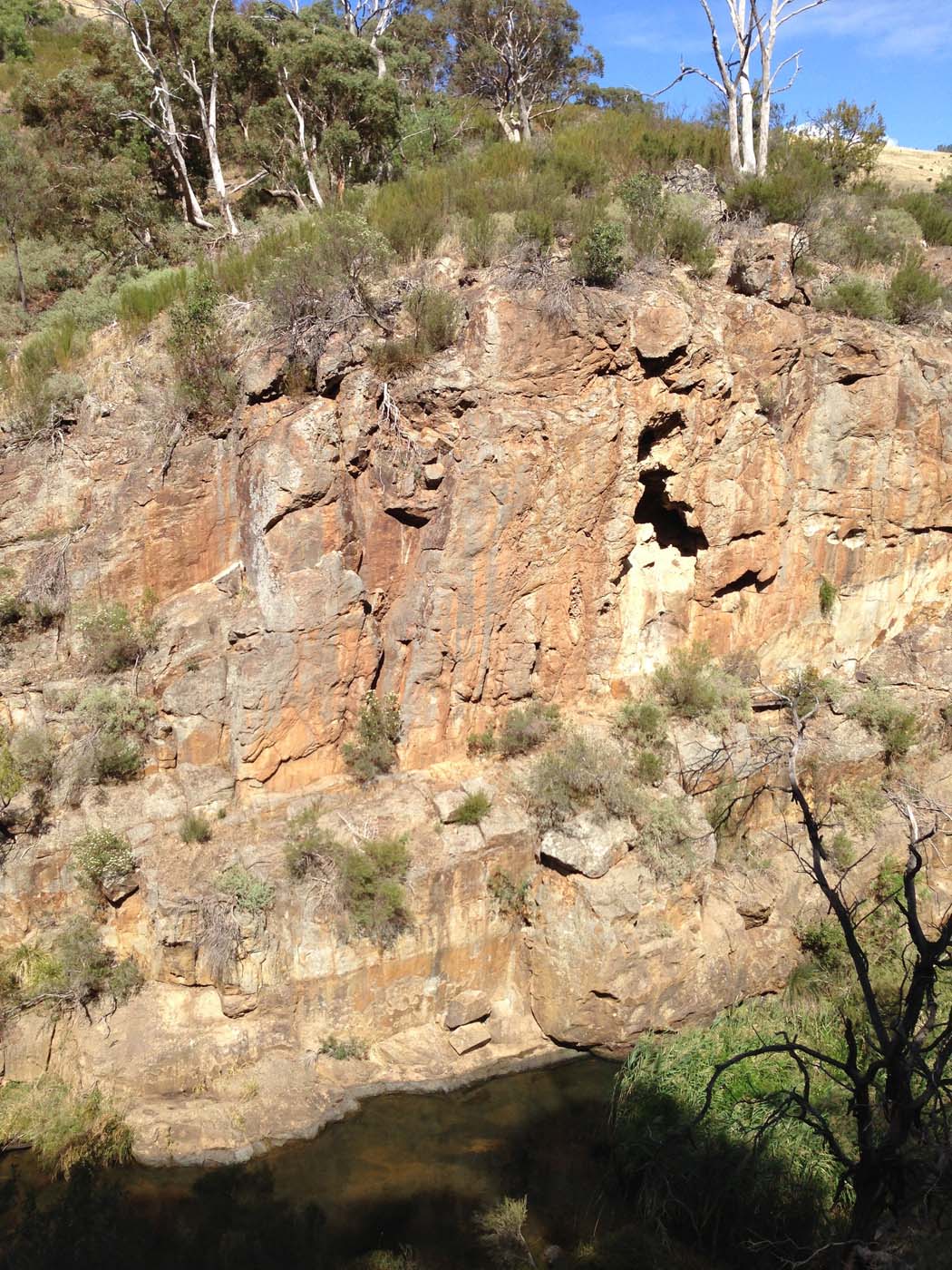 Werribee gorge circuit (17)