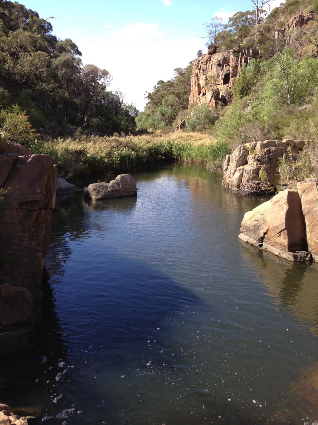 Werribee gorge circuit (18)