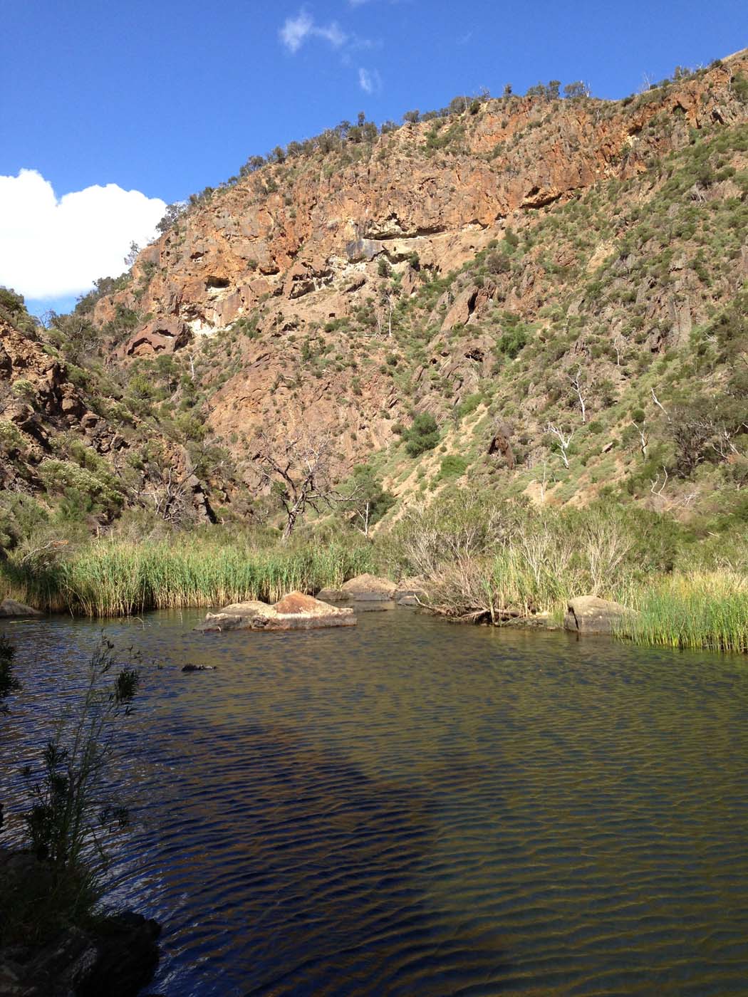 Werribee gorge circuit (22)