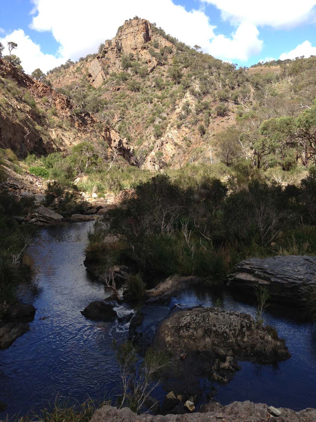 Werribee gorge circuit (24)