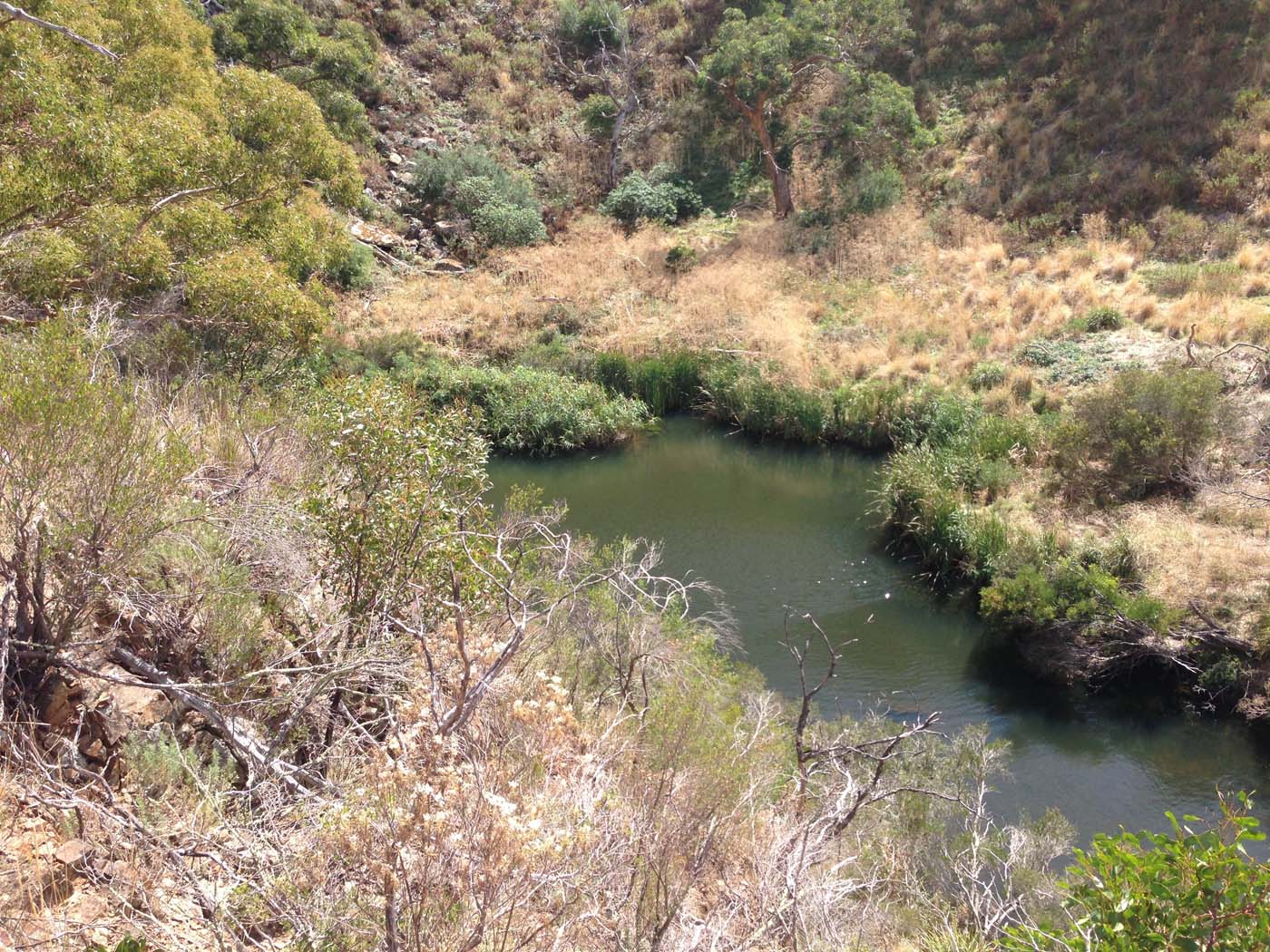 Werribee gorge circuit (27)