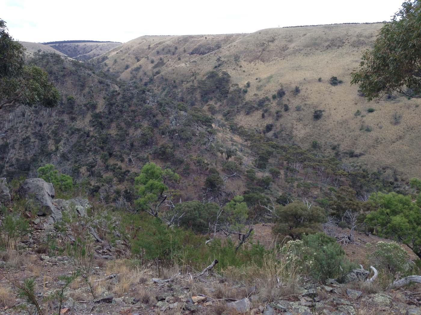Werribee gorge circuit (29)