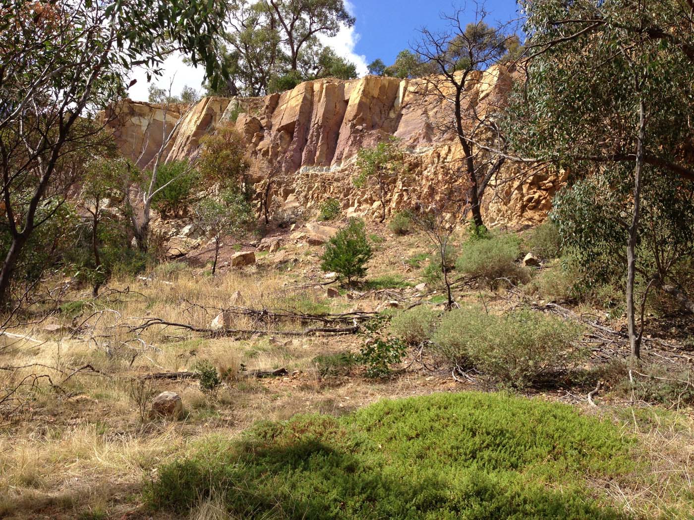 Werribee gorge circuit (32)