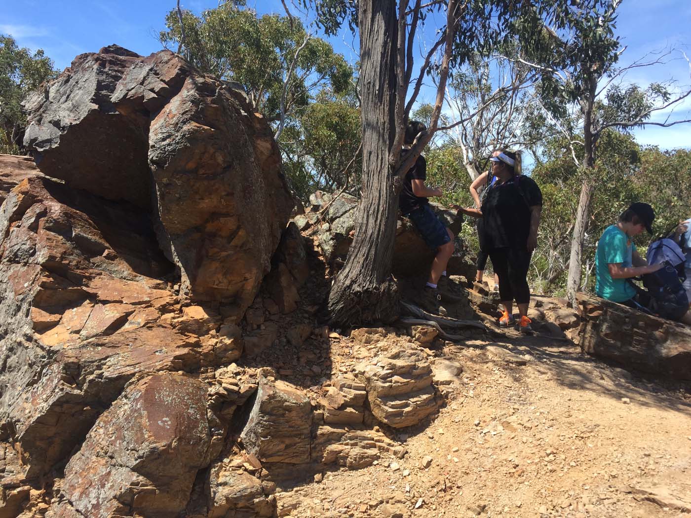 Werribee gorge circuit (8)