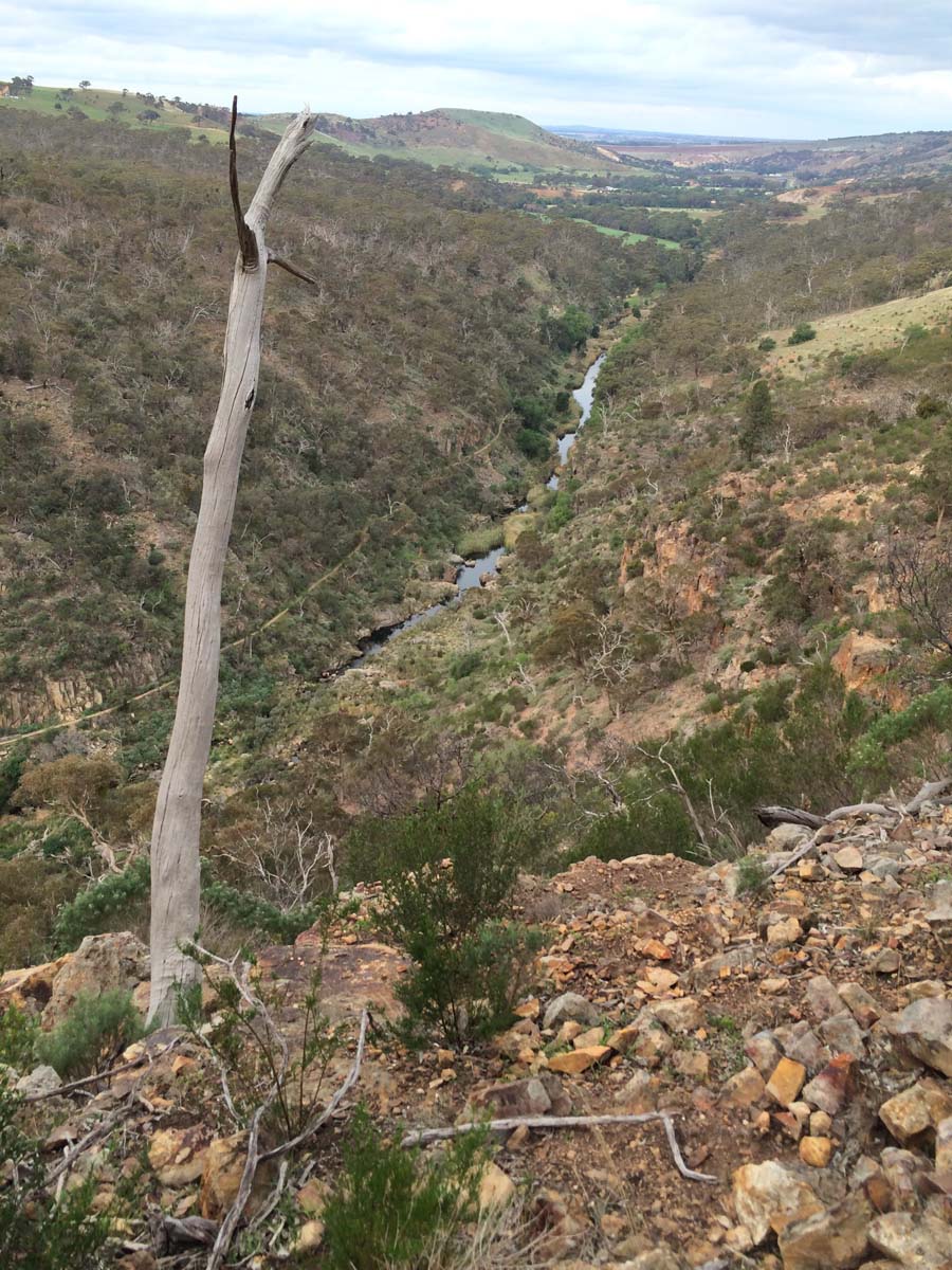 Werribee gorge offtrail 18