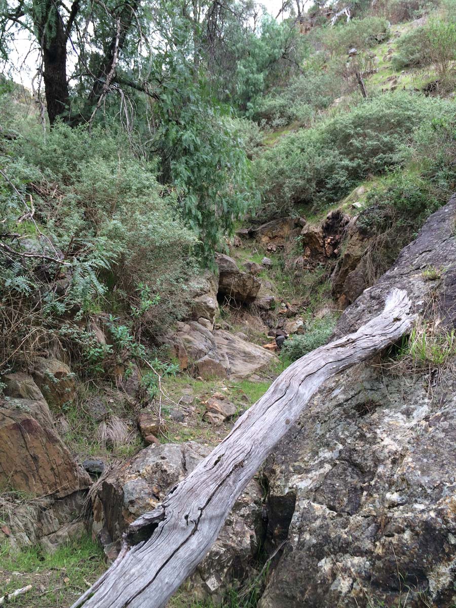 Werribee gorge offtrail 19