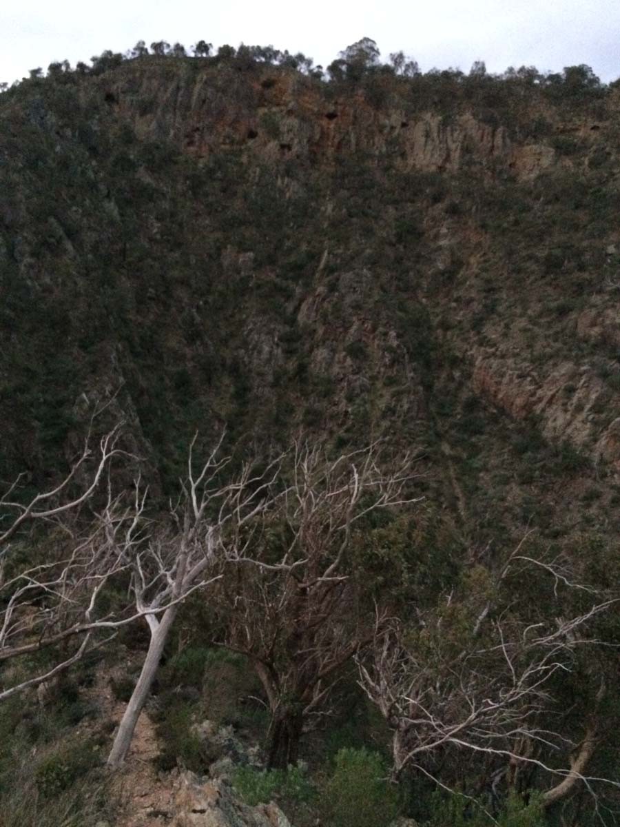 Werribee gorge offtrail 2