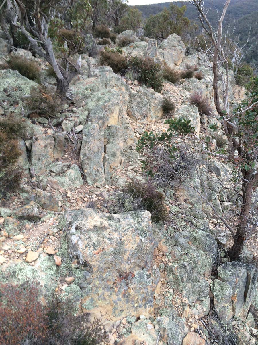 Werribee gorge offtrail 22