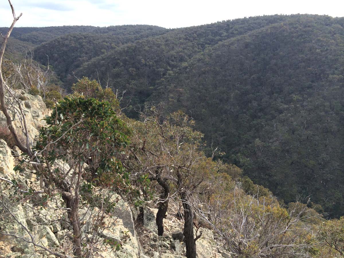 Werribee gorge offtrail 4