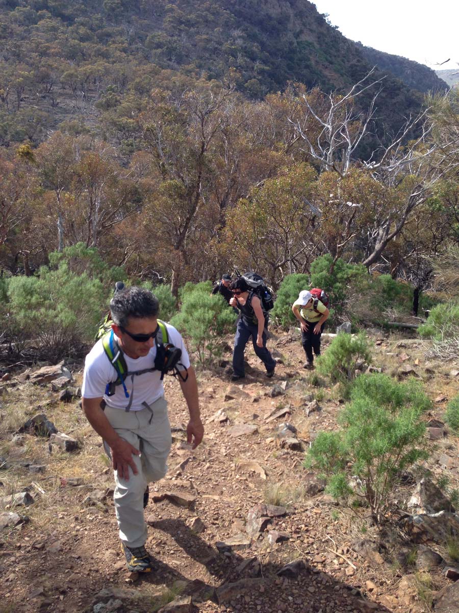 Werribee gorge rim hike 11