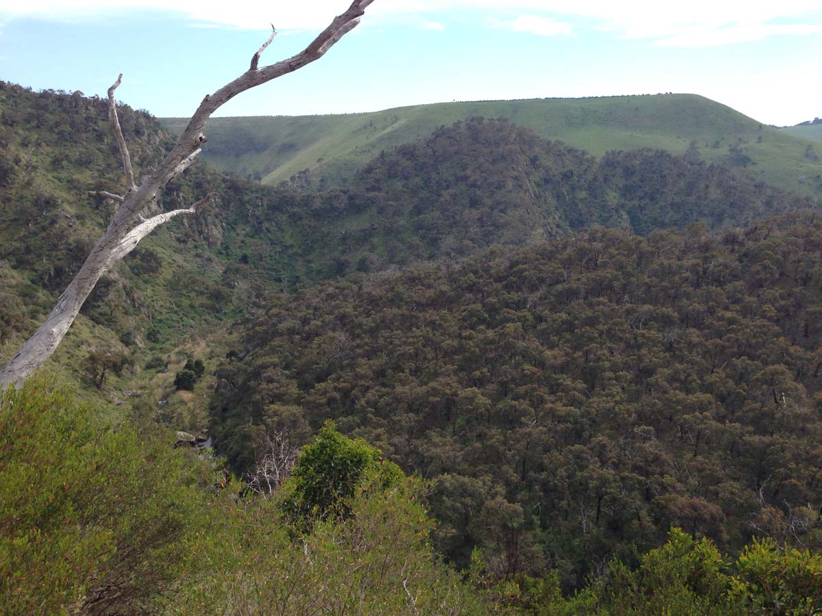 Werribee gorge rim hike 16