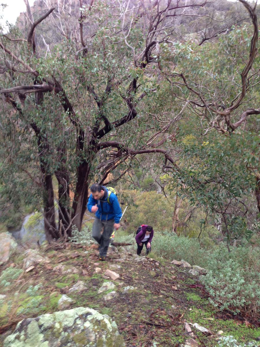 Werribee gorge rim hike 2