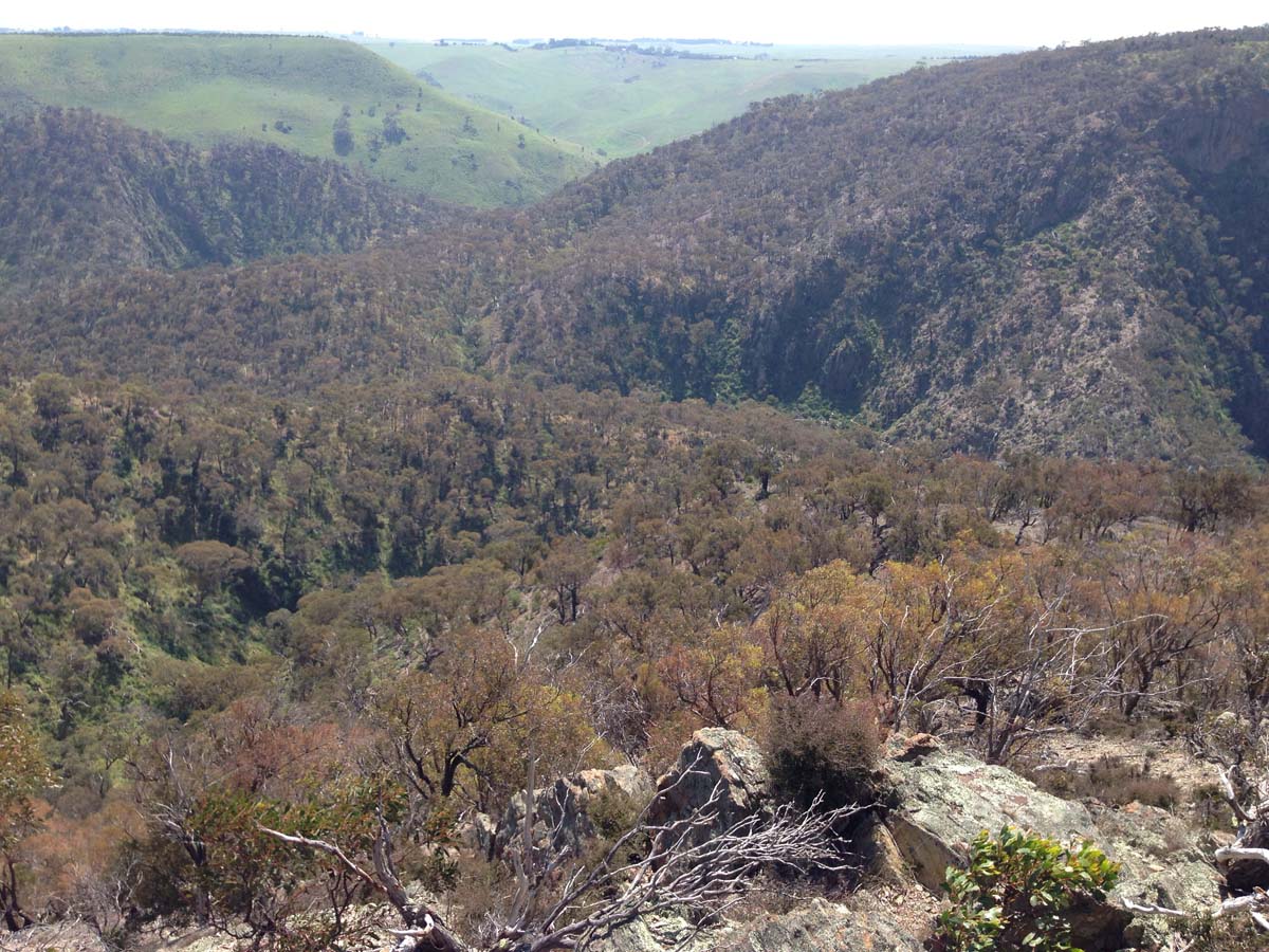 Werribee gorge rim hike 26