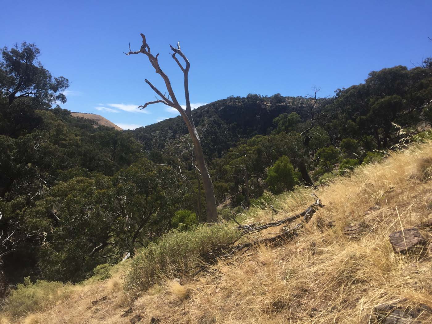 Werribee gorge scenic rim hike (11)