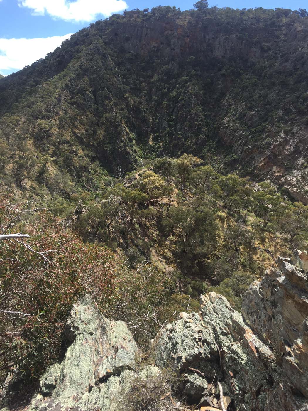 Werribee gorge scenic rim hike (17)