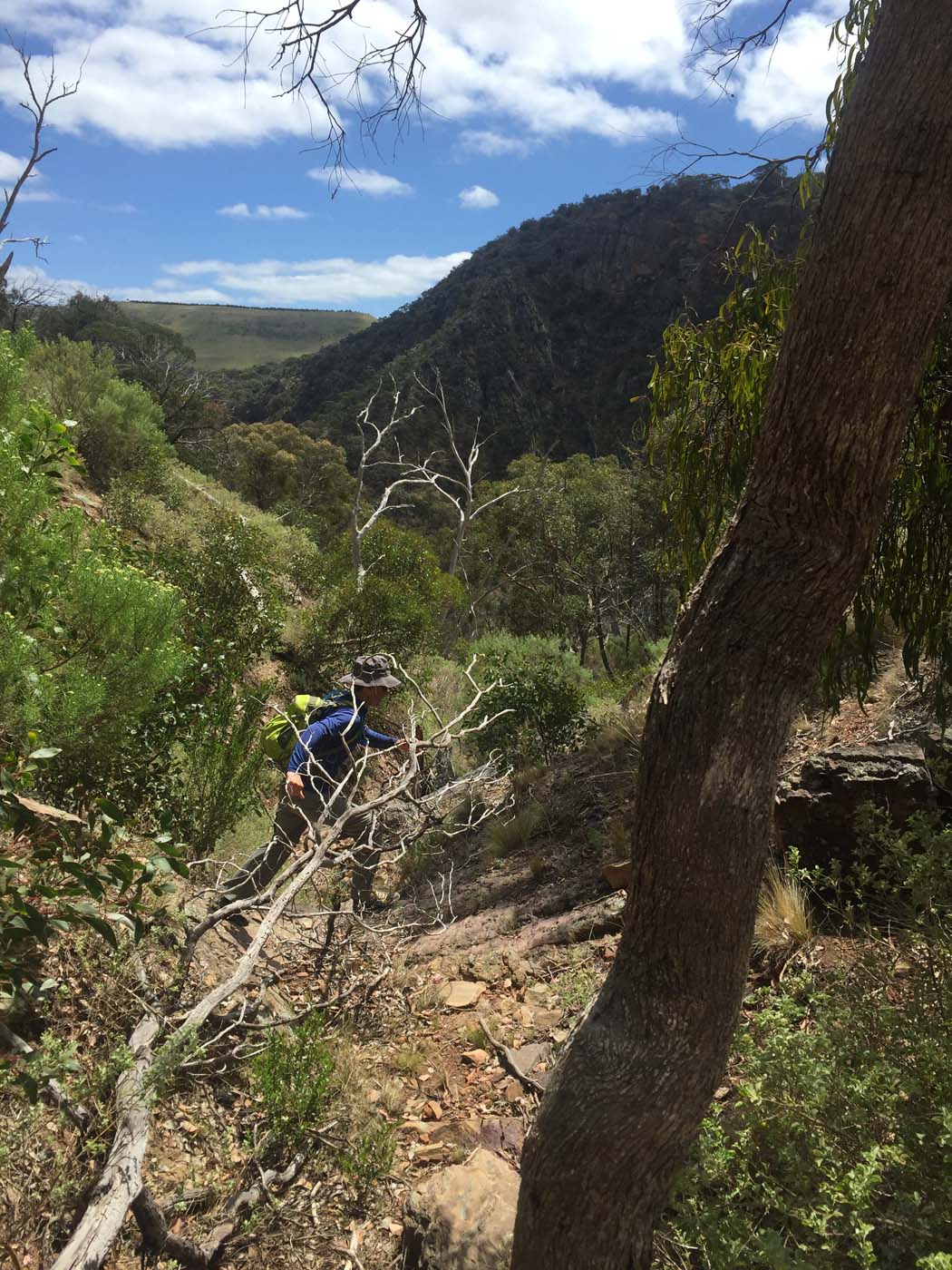 Werribee gorge scenic rim hike (18)