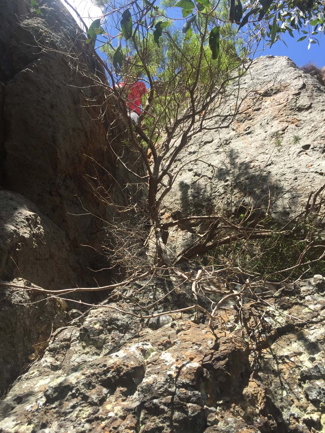 Werribee gorge scenic rim hike (20)
