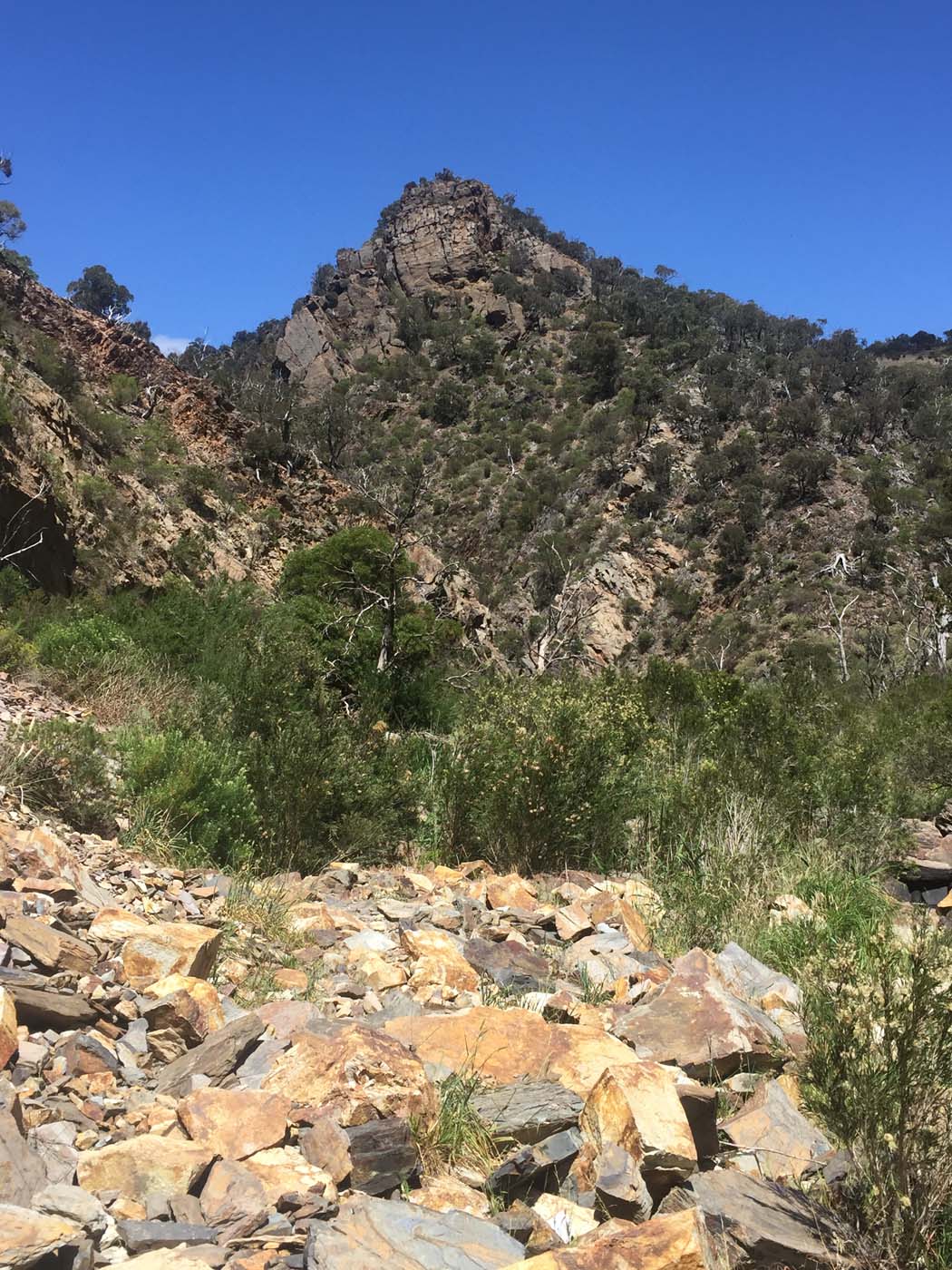 Werribee gorge scenic rim hike (23)