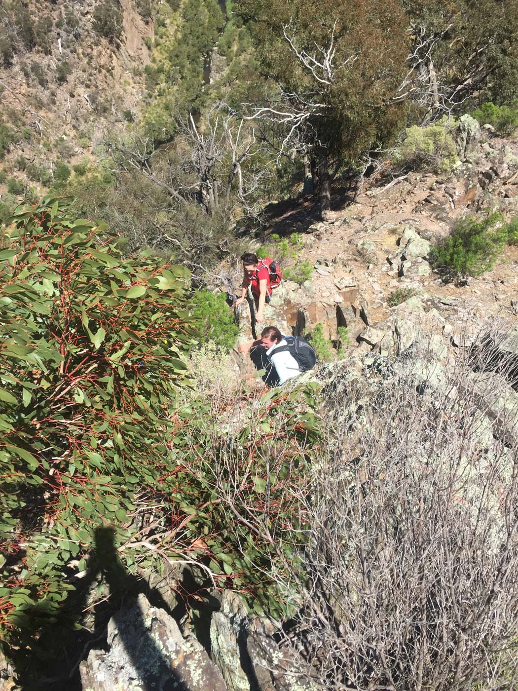 Werribee gorge scenic rim hike (25)