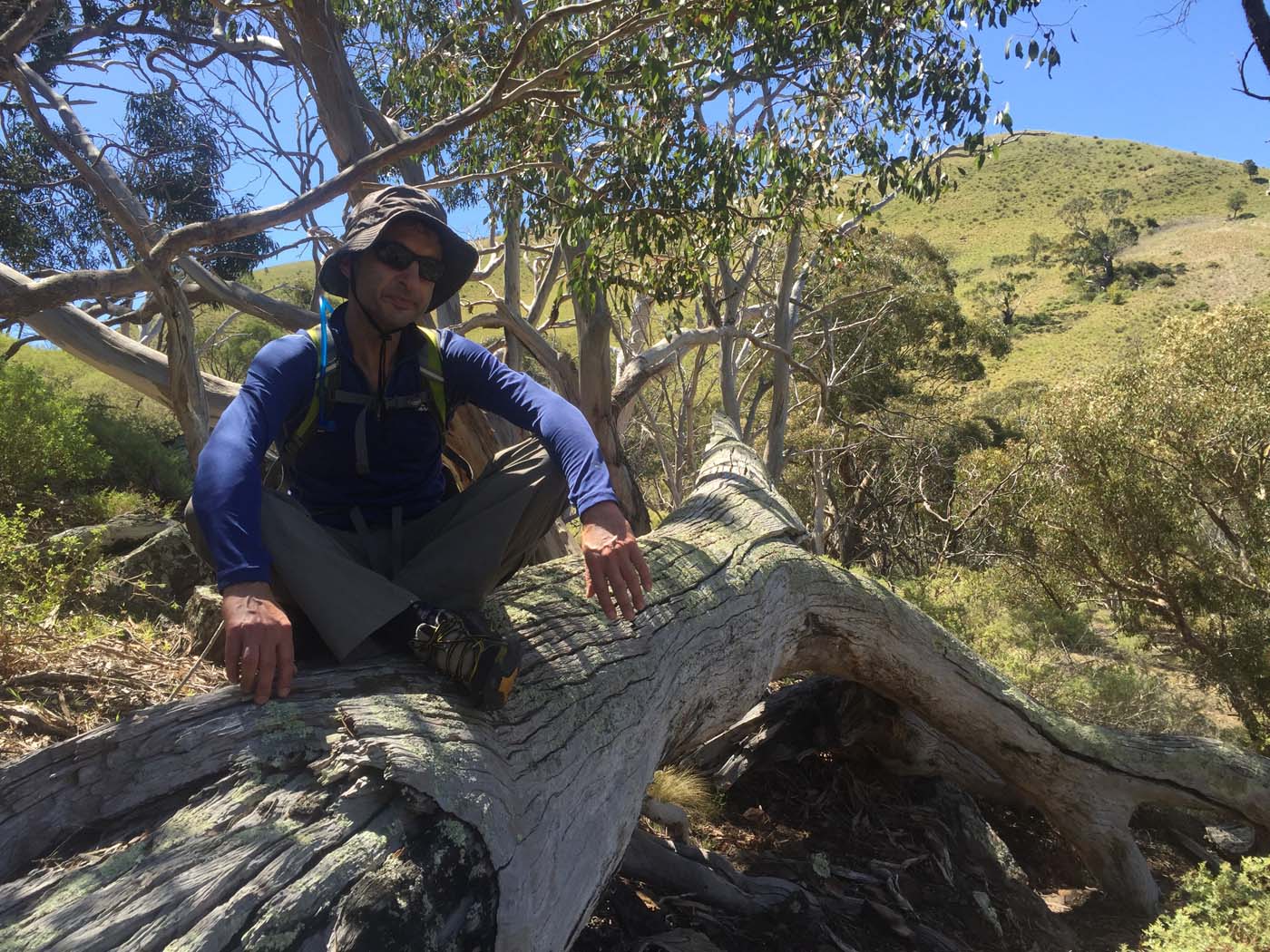 Werribee gorge scenic rim hike (30)