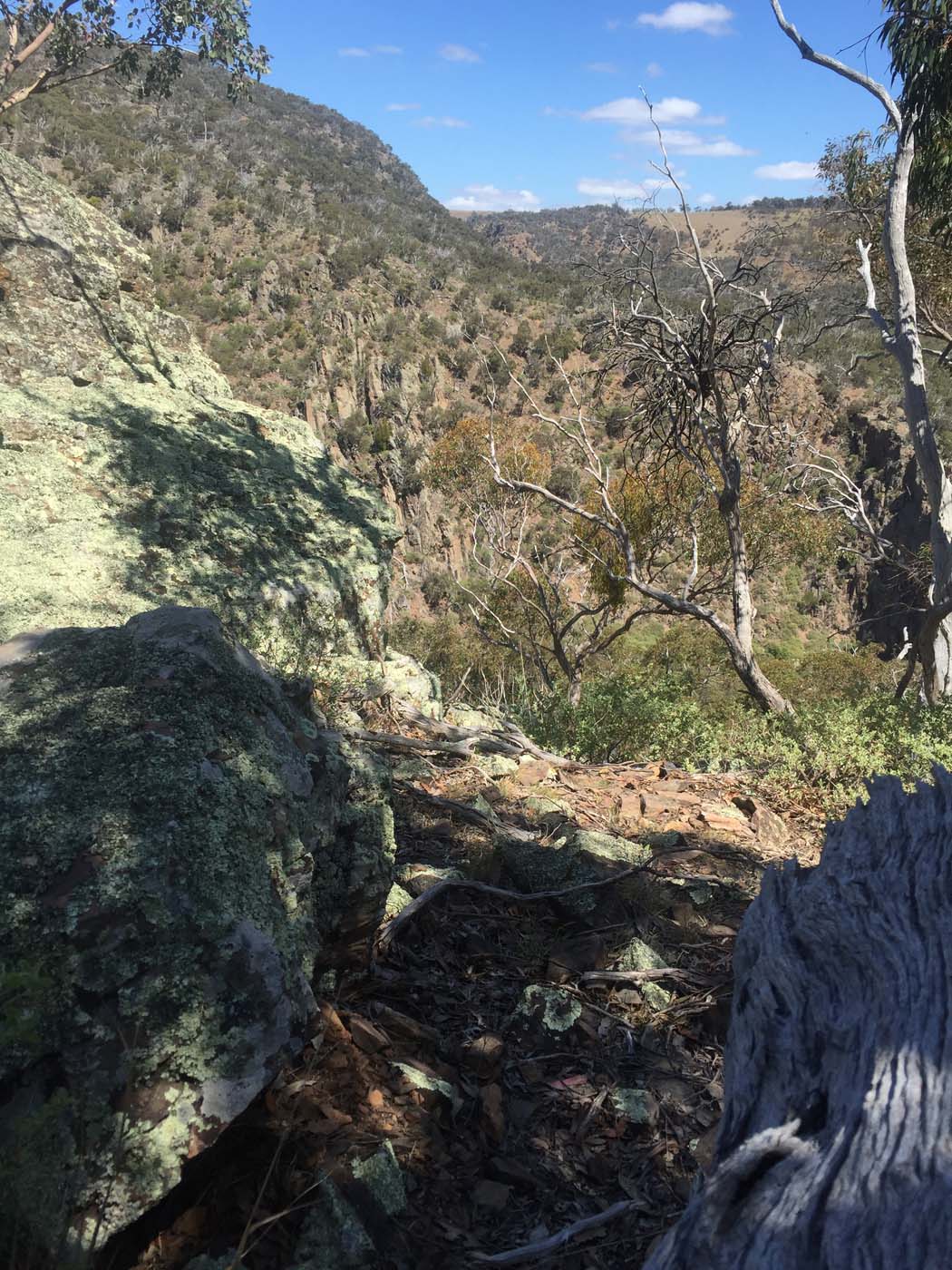 Werribee gorge scenic rim hike (31)