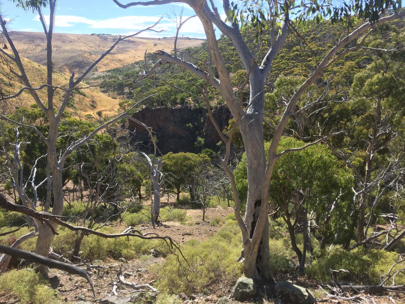 Werribee gorge scenic rim hike (4)