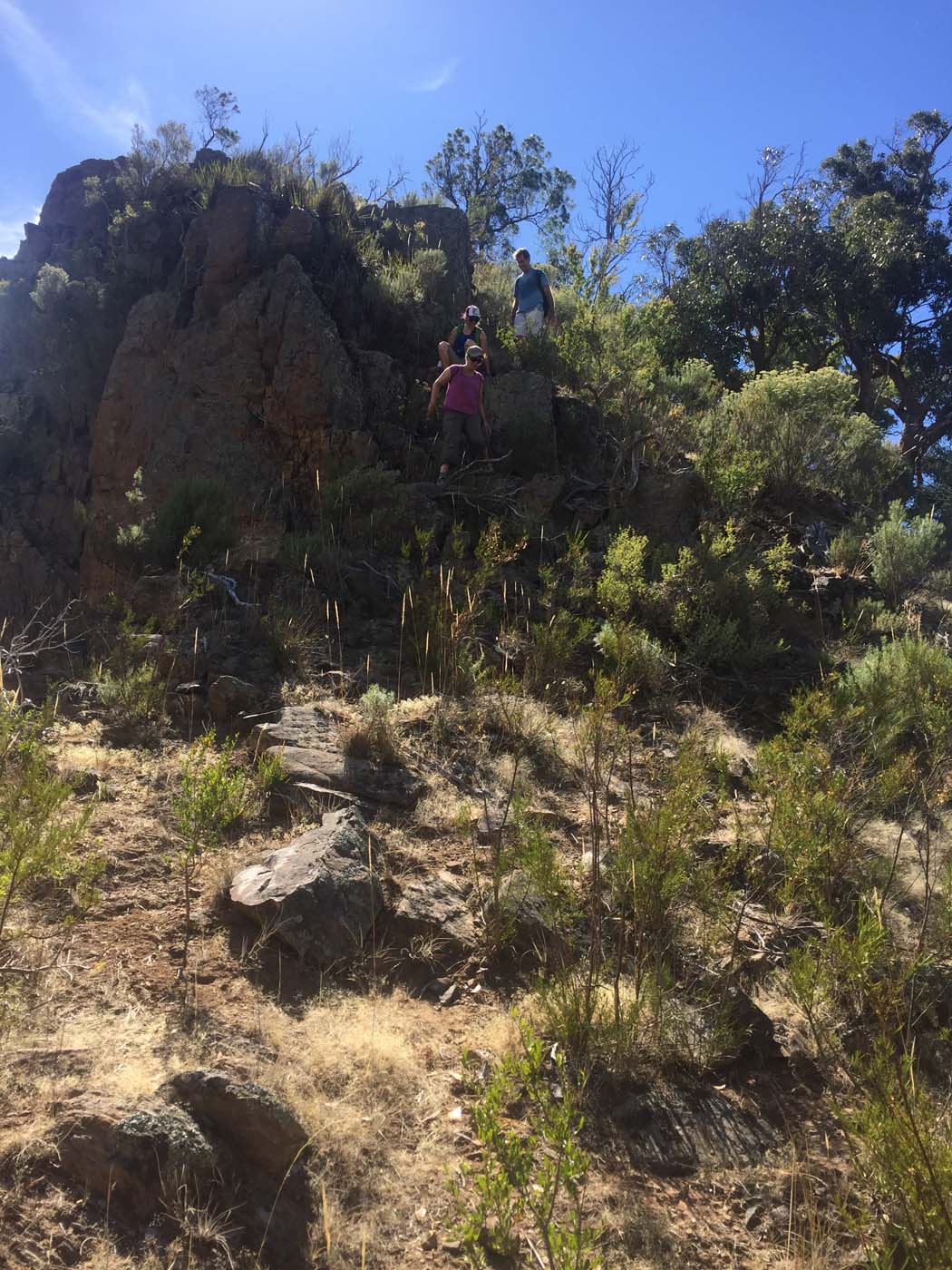 Werribee gorge scenic rim hike (6)