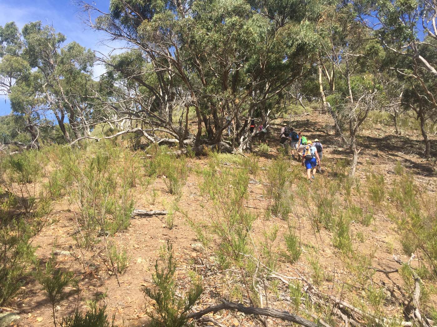 Werribee gorge scenic rim hike (7)