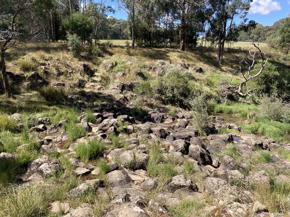Werribee river mount hope circuit 2 hike 1