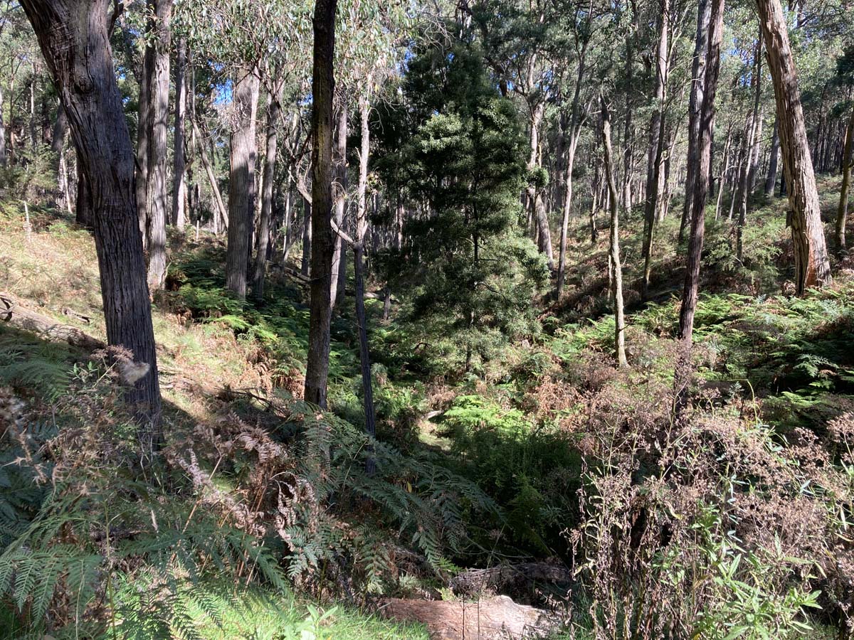 Werribee river mount hope circuit 2 hike 10