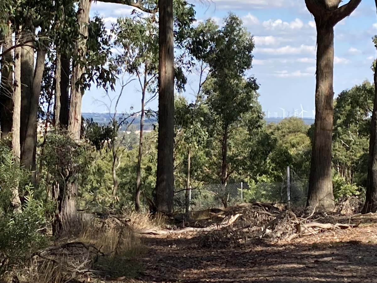 Werribee river mount hope circuit 2 hike 11