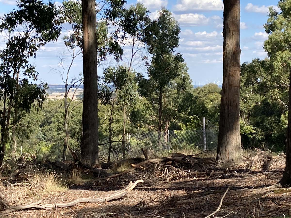 Werribee river mount hope circuit 2 hike 12