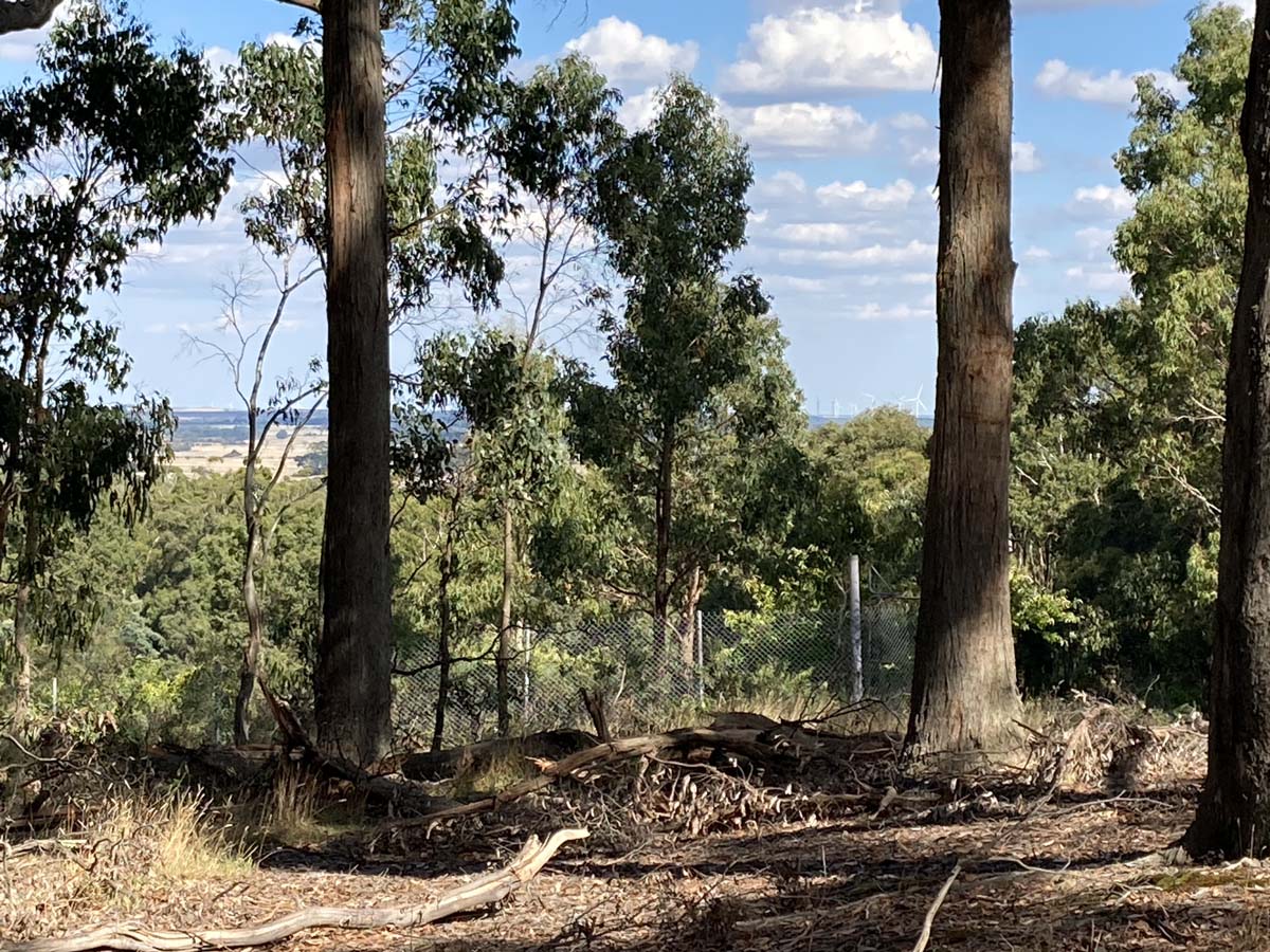 Werribee river mount hope circuit 2 hike 13