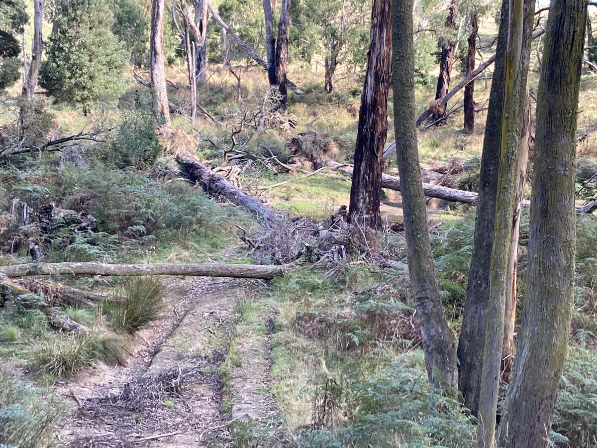 Werribee river mount hope circuit 2 hike 16