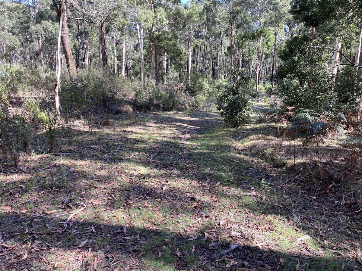Werribee river mount hope circuit 2 hike 4