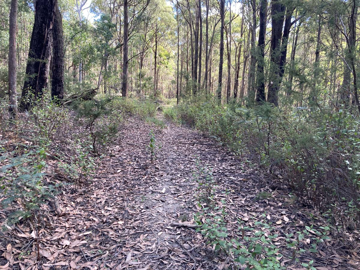 Werribee river mount hope circuit 2 hike 5