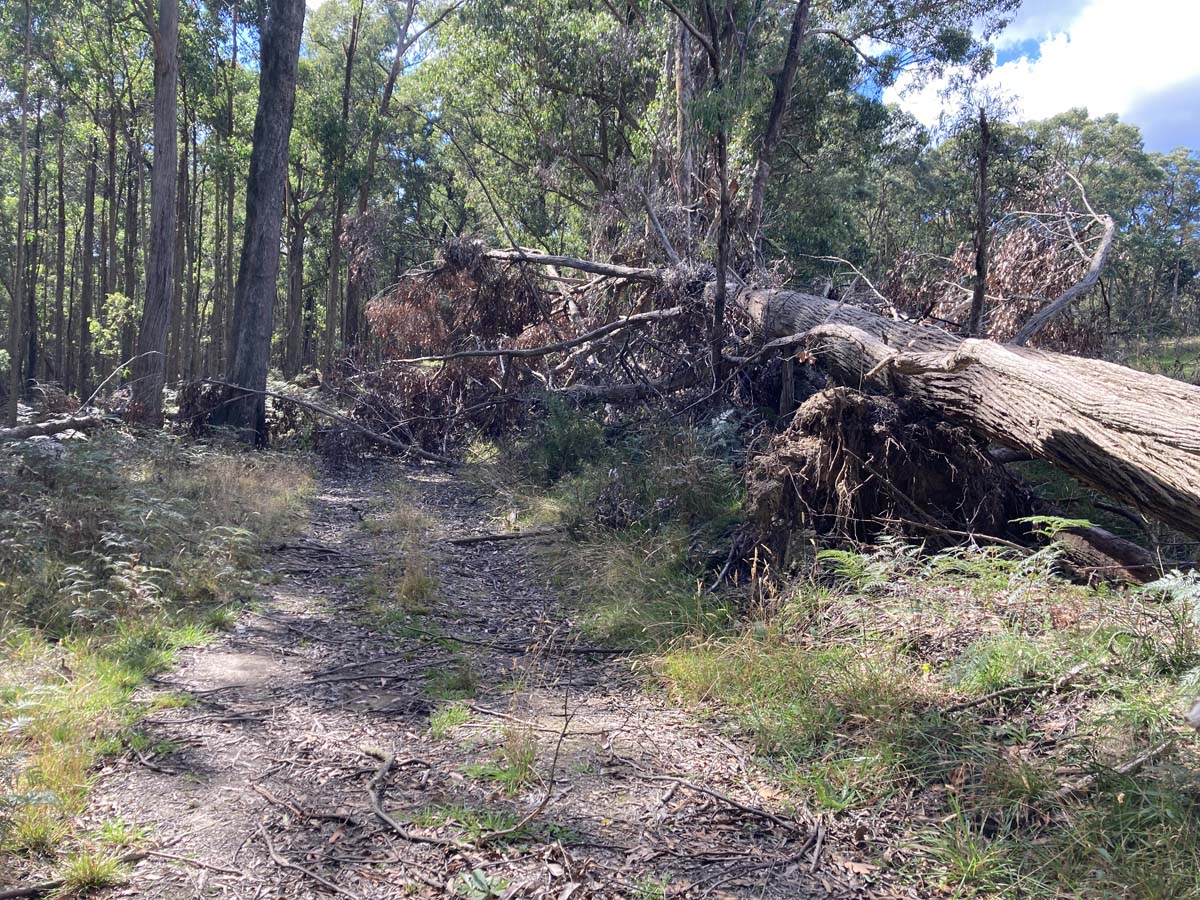 Werribee river mount hope circuit 2 hike 9