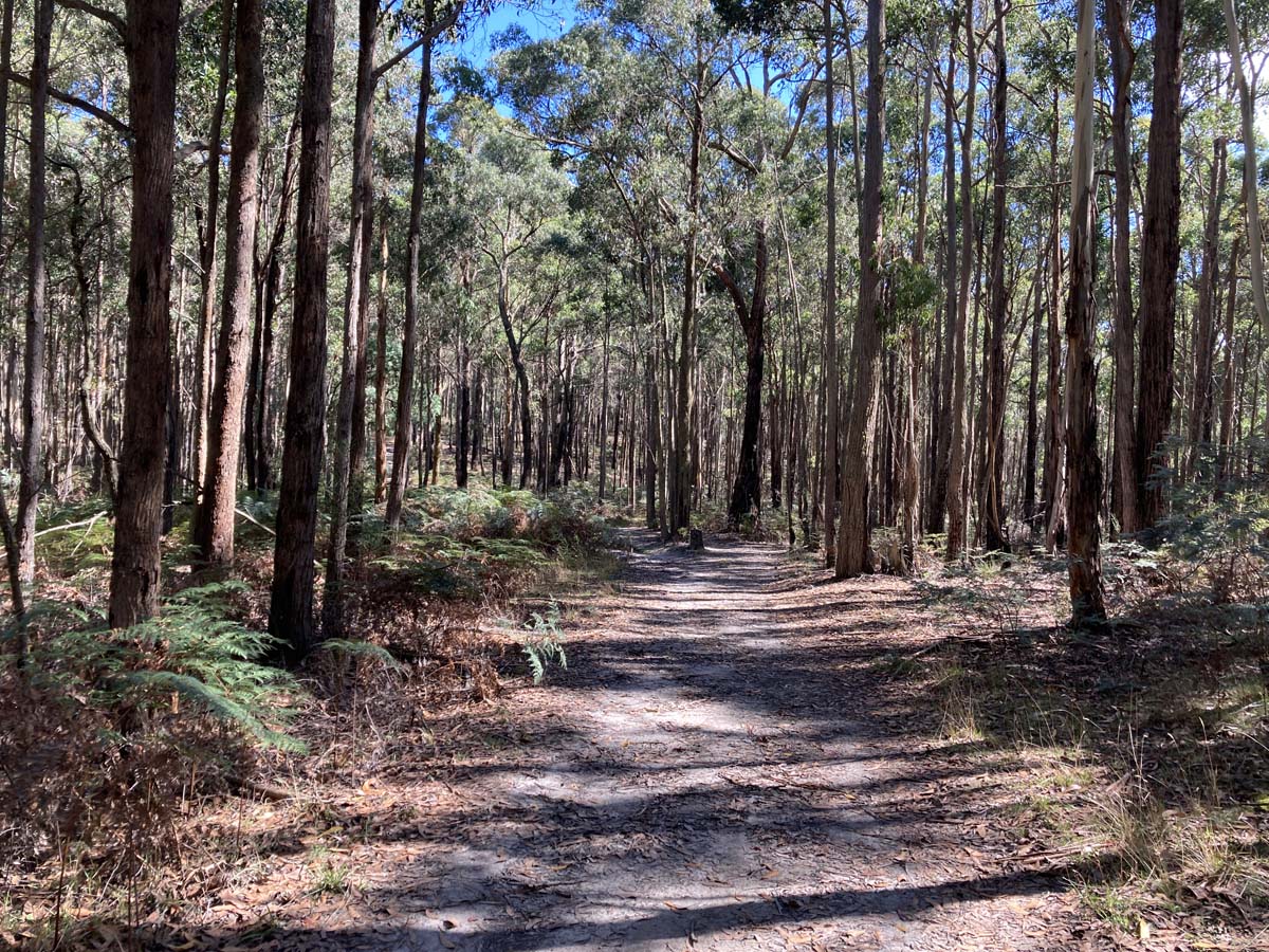 Werribee river mount hope circuit hike 1