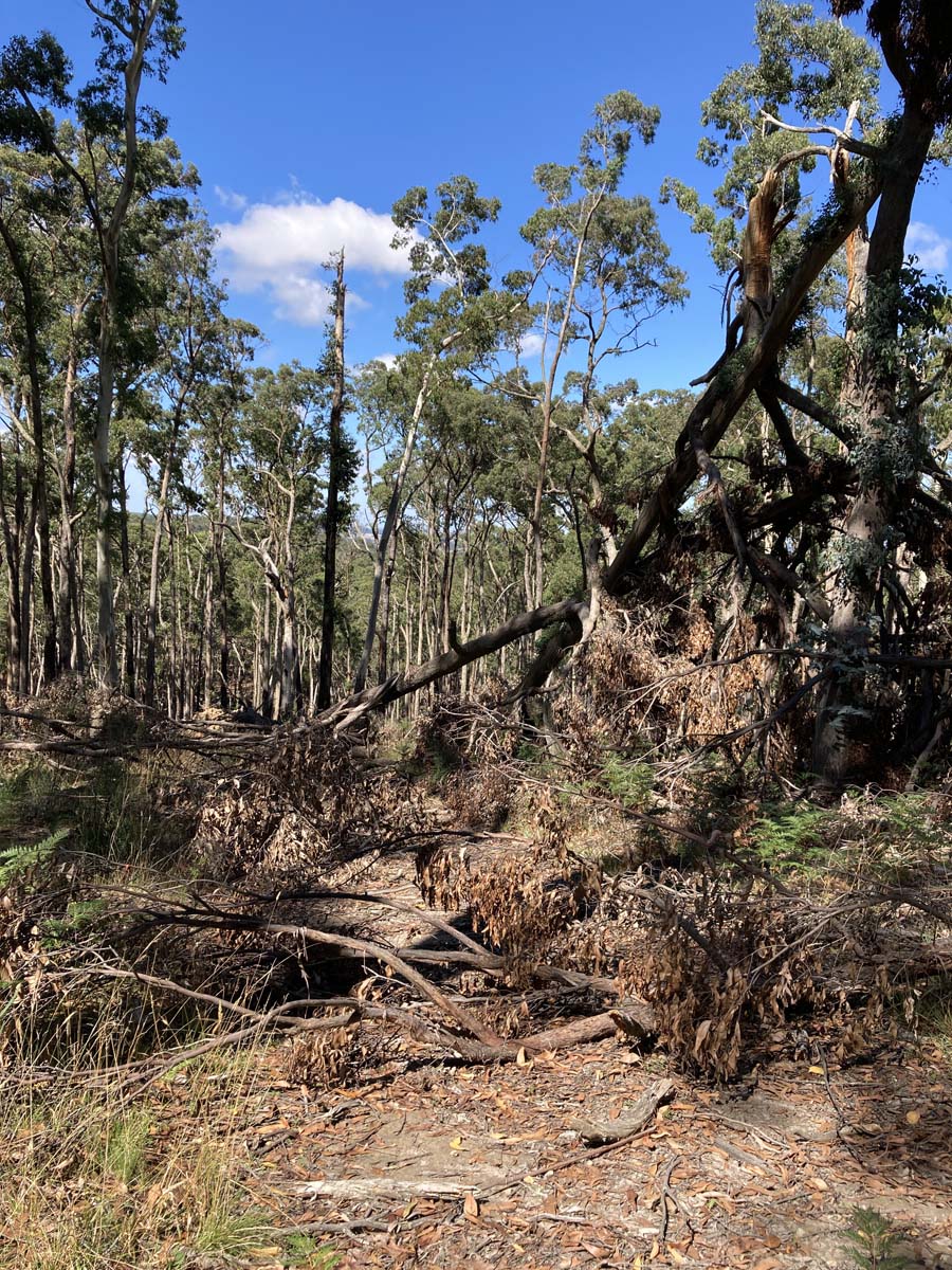 Werribee river mount hope circuit hike 11